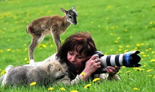 人和动物视频在线观看,在线观看精选视频集锦 第1张 人和动物视频在线观看,在线观看精选视频集锦 第1张